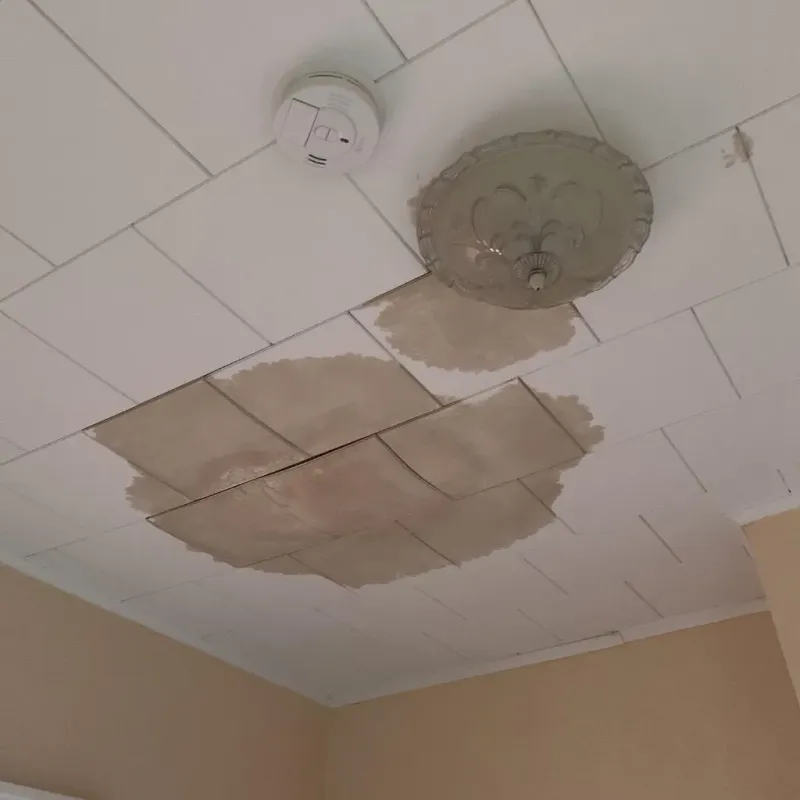 Ceiling Water Damage Repair in Spring City, UT