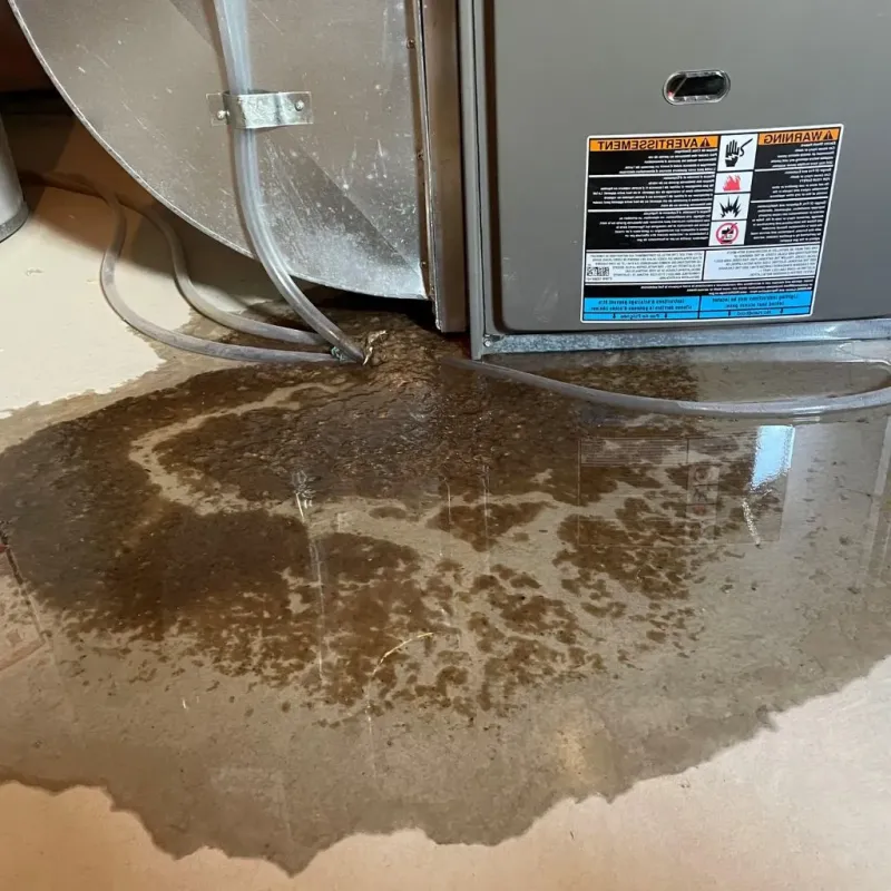 Pipe Burst and Leak Restoration in Spring City, UT