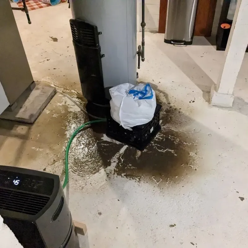 Sewage Backup Cleanup Service in Spring City, UT